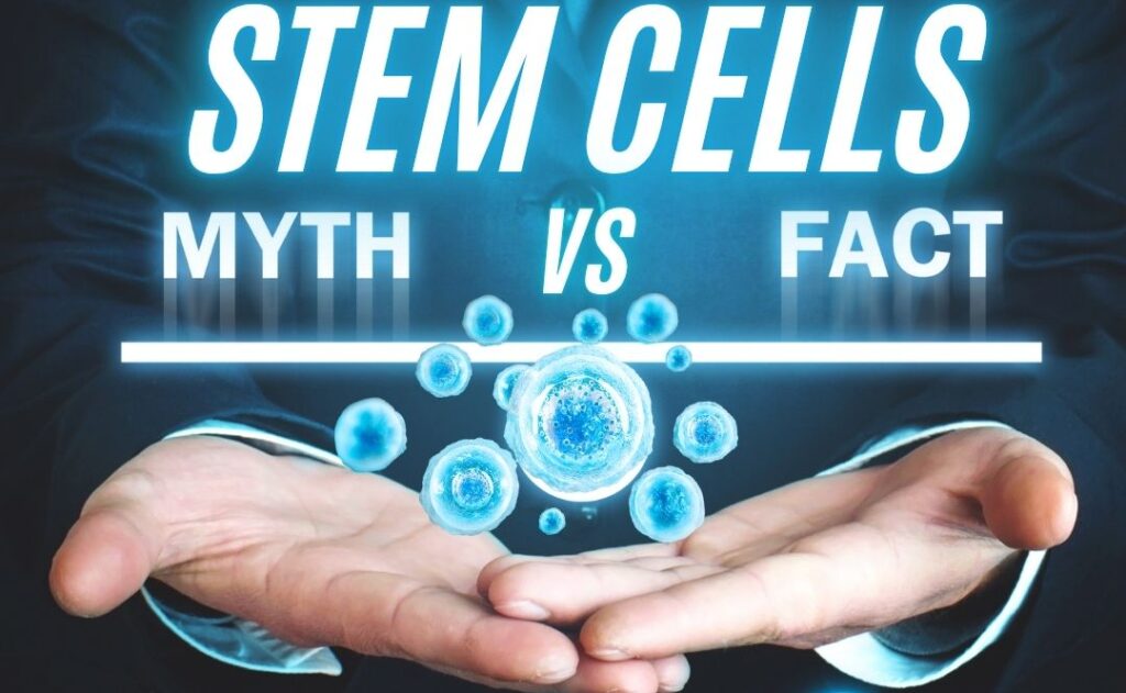 Graphic with the headline ‘STEM CELLS: Myth vs Fact’. On the left under ‘Myth’, a red X icon and the text reads: ‘Stem Cells are only used for serious diseases.’ On the right under ‘Fact’, a blue checkmark icon and the text reads: ‘Stem Cells can also support joint pain, gut health, energy, aging, and recovery.’ At the bottom is the Odin Stem Cells logo. In the center, glowing blue cells are suspended above open hands, emphasizing healing and innovation.
